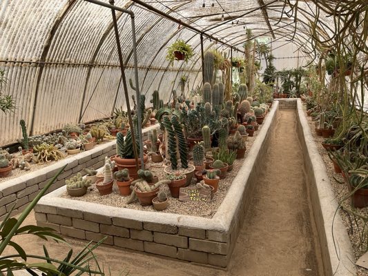 Moorten Botanical Garden by null