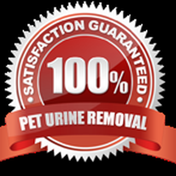 Safe-Dry Carpet Cleaning - Carpet Cleaning Near Me - Spring Hill, Tennessee Safe-Dry Carpet Cleaning - Carpet Cleaning Near Me - Spring Hill, Tennessee