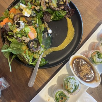 Roots Bistro - Octopus salad and goi cuon - Vietnamese Near Me - San Jose, California