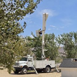 The Tree Pros - The best equipment.