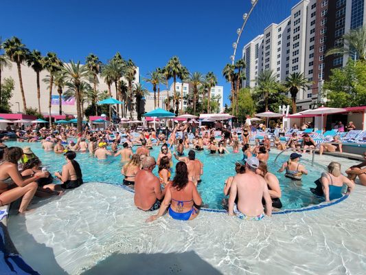 Flamingo Pool at Flamingo Las Vegas by null