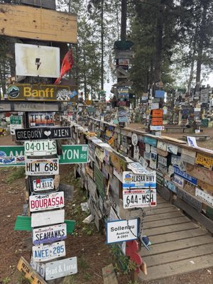 Sign Post Forest by null