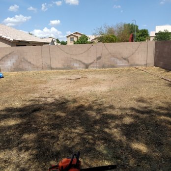 Misael Tree Service - After tree removal - Tree Services Near Me Misael Tree Service - After tree removal - Tree Services Near Me