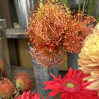 Devynn's Garden - Flowers - Florists Near Me - Seal Beach, California
