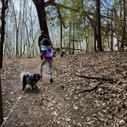 Lions Den Gorge Nature Preserve - Part of the Cedar Loop trail
