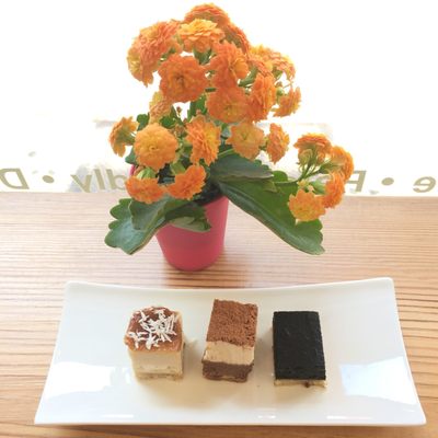 Rawsome Treats by null