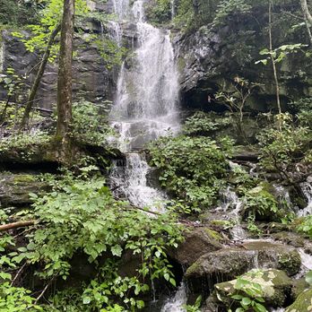 Roaring Fork Motor Nature Trail - Hiking Near Me