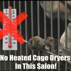 Dirty Dawgs Day Spa & Resort - We only use cool dryers, never heated. Better for our senior fur babies.