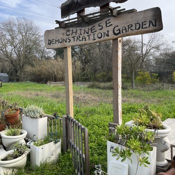 Dai Loy Museum - Explore the small town - Museums Near Me - Walnut Grove, California Dai Loy Museum - Explore the small town - Museums Near Me - Walnut Grove, California
