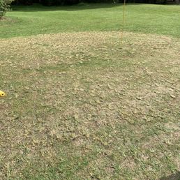 Greens (Not even the worst hole) Greens (Not even the worst hole)
