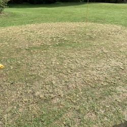 Quail Ridge Golf World - Greens (Not even the worst hole)