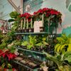 Oakland Nursery - Columbus gift card