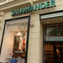 Photo of Salamander