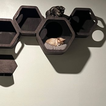 LGO Handyman - Wall mounted cat tree - Handyman Near Me - Costa Mesa, California LGO Handyman - Wall mounted cat tree - Handyman Near Me - Costa Mesa, California
