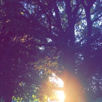 Bush's Pasture Park - Beautiful scenery - Parks Near Me - Salem, Oregon