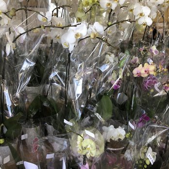 Trader Joe's - Grocery Near Me - Corona, California