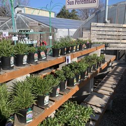 Five Mile Farm & Greenhouse