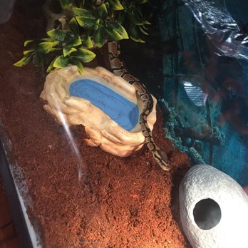 Acks Exotic Pets - Pet Stores Near Me - Cicero, New York
