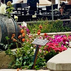 Lakeside Bar & Grill - Fire pit hours: sunset to 10 pm