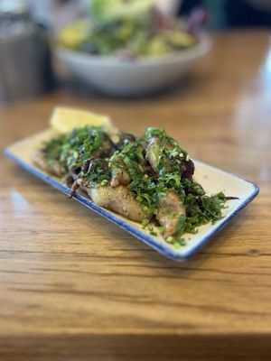 Hog Island Larkspur by null