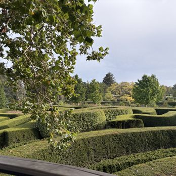 The Morton Arboretum - Botanical Gardens Near Me - Lisle, Illinois