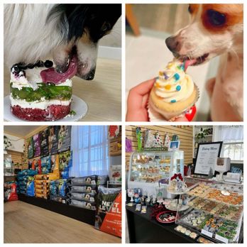 A Pup's Life - a dog eating a cupcake - Pet Stores Near Me - Killeen, Texas A Pup's Life - a dog eating a cupcake - Pet Stores Near Me - Killeen, Texas