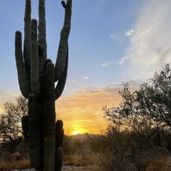 Paloma Community Park - Morning sunrise