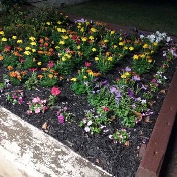 Washington School Apartments - Beautiful flower arrangement for the grounds...could use more trees - Apartments Near Me - New Britain, Connecticut Washington School Apartments - Beautiful flower arrangement for the grounds...could use more trees - Apartments Near Me - New Britain, Connecticut