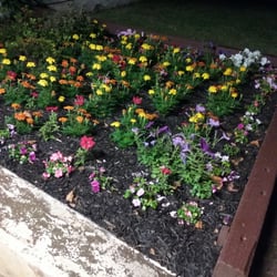 Washington School Apartments - Beautiful flower arrangement for the grounds...could use more trees