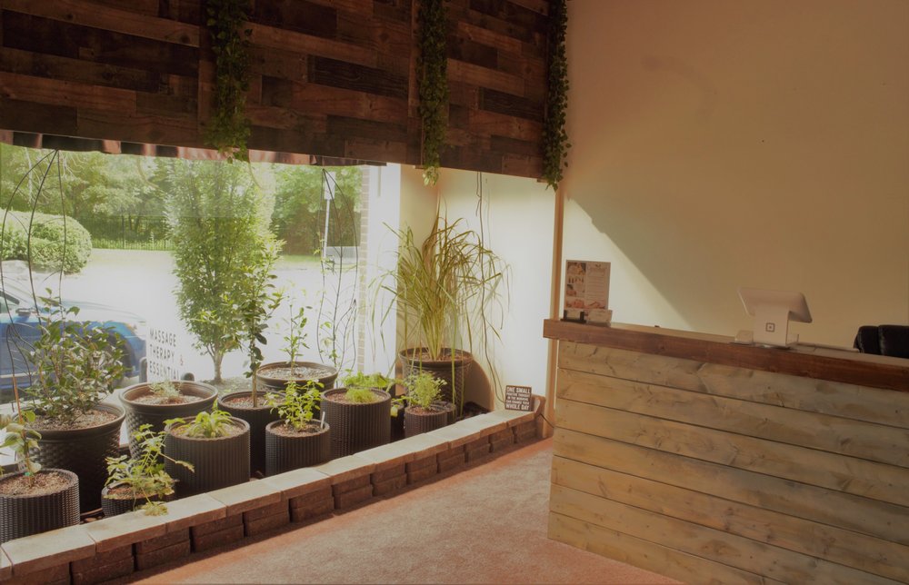 GREENLEAF SOFT TISSUE THERAPY Updated September 2024 32 Market St