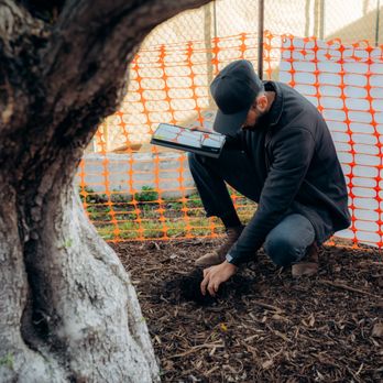 Arkadia Tree Services - Soil inspection apart of arborist services (Newport Beach, Orange County)

Francisco Mancilla 
Certified arborist
CERT ID: WE-15742A - Tree Services Near Me