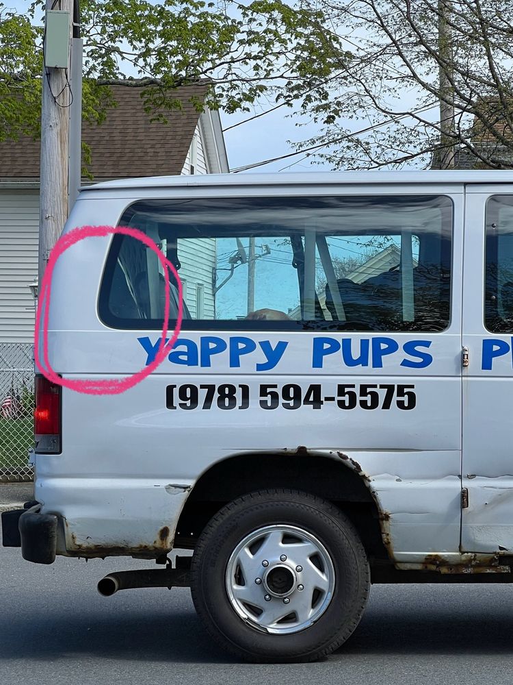 Yappy Pups Playhouse Image