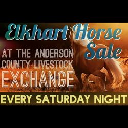 Elkhart Horse Sales - ELKHART HORSE SALE