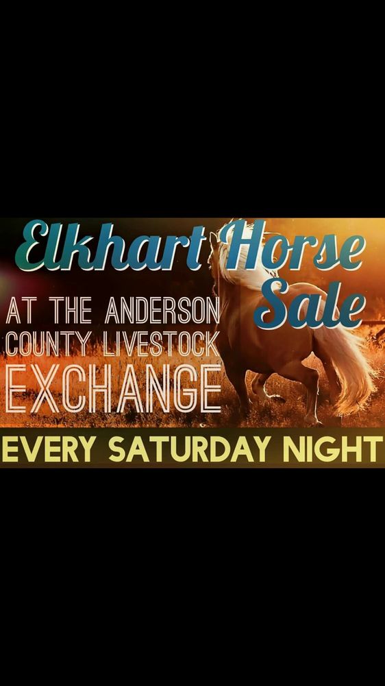 ELKHART HORSE SALES nearby at Hwy 287 Hwy 294, Elkhart, Texas 11