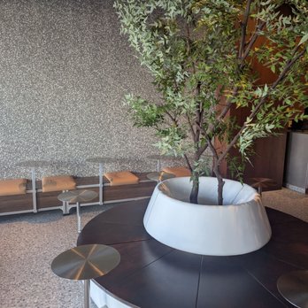 DO Coffee - Seating area - Coffee & Tea Near Me - Brea, California