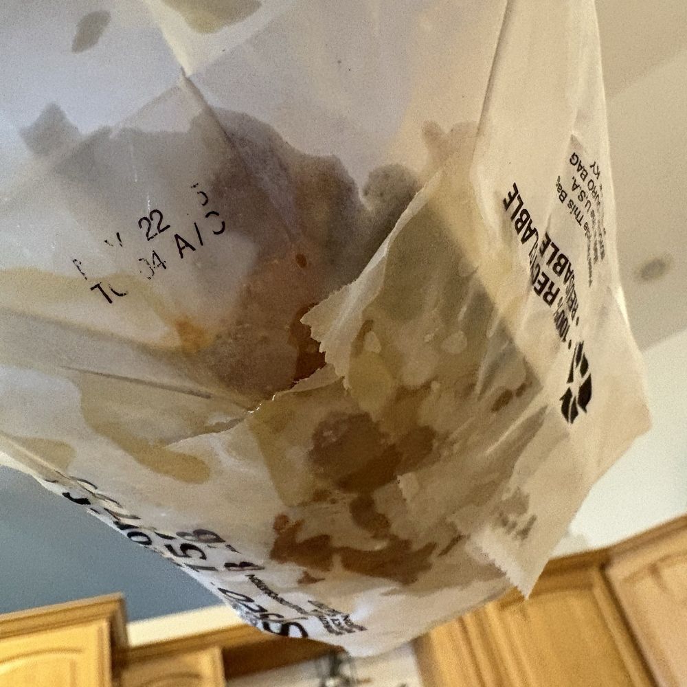 Sandi's Drive Inn - Extremely greasy bag soaked thru to my seat - Burgers Near Me - Richfield, Utah Sandi's Drive Inn - Extremely greasy bag soaked thru to my seat - Burgers Near Me - Richfield, Utah
