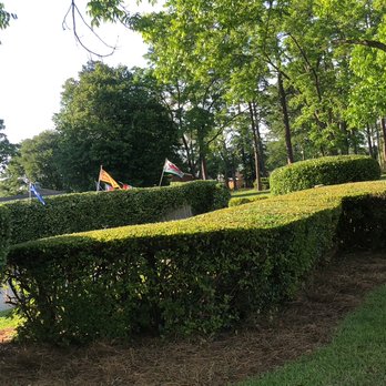 Quality Landscape & More - Trimmed hedges - Landscaping Near Me Quality Landscape & More - Trimmed hedges - Landscaping Near Me