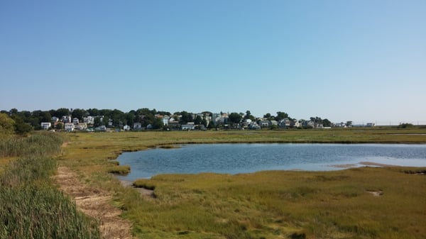 Belle Isle Marsh Reservation by null