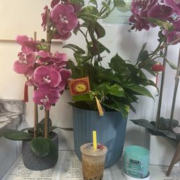 Tiger Milk Tea