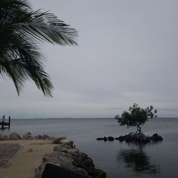Marker 88 - Seafood Near Me - Islamorada, Florida Marker 88 - Seafood Near Me - Islamorada, Florida