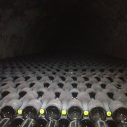 Champagne Taittinger - Bottles resting for 10 years