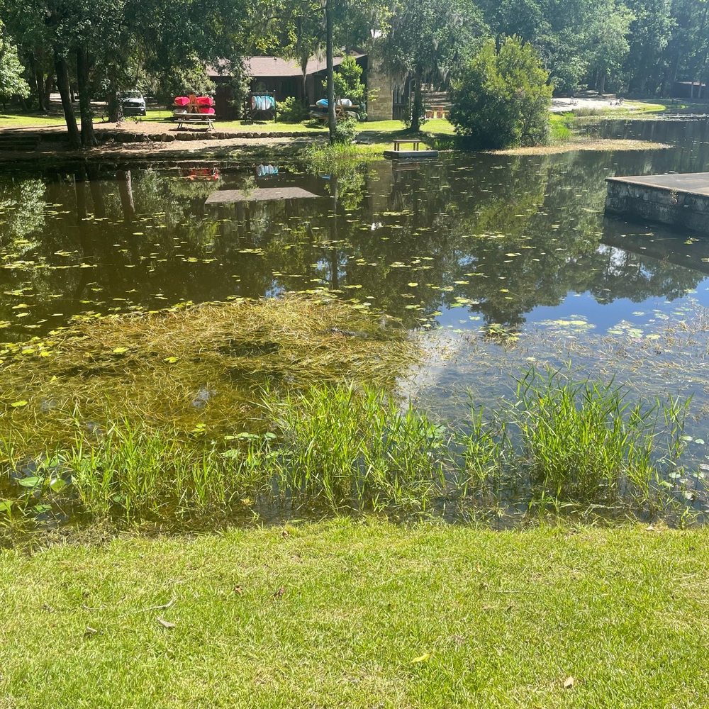 Poinsett State Park - You might see an alligator in there.. hint, look for the ridges... - Parks Near Me - Wedgefield, South Carolina Poinsett State Park - You might see an alligator in there.. hint, look for the ridges... - Parks Near Me - Wedgefield, South Carolina