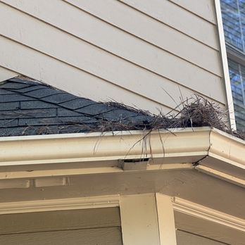 Atlanta's Best Gutter Cleaners - Gutter Services Near Me - Norcross, Georgia Atlanta's Best Gutter Cleaners - Gutter Services Near Me - Norcross, Georgia