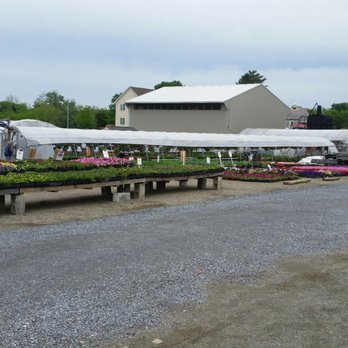 Glick's Greenhouse - Nurseries & Gardening Near Me - Oley, Pennsylvania