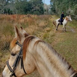 Old Fort King Trail - Horseback riding on Old Fort King Trail