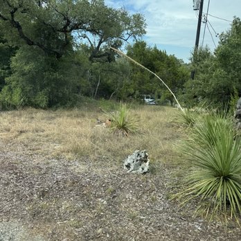 The Bygone - Messy front yard - Hotels Near Me - Wimberley, Texas The Bygone - Messy front yard - Hotels Near Me - Wimberley, Texas