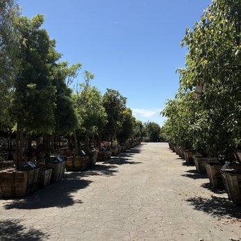 Moon Valley Nurseries - Nurseries & Gardening Near Me - Roseville, California Moon Valley Nurseries - Nurseries & Gardening Near Me - Roseville, California
