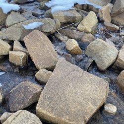 Folly Cove - Rocks and flowing water