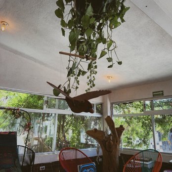 Tropical Kitchen - Vegetarian Near Me - Cabo San Lucas, BCS