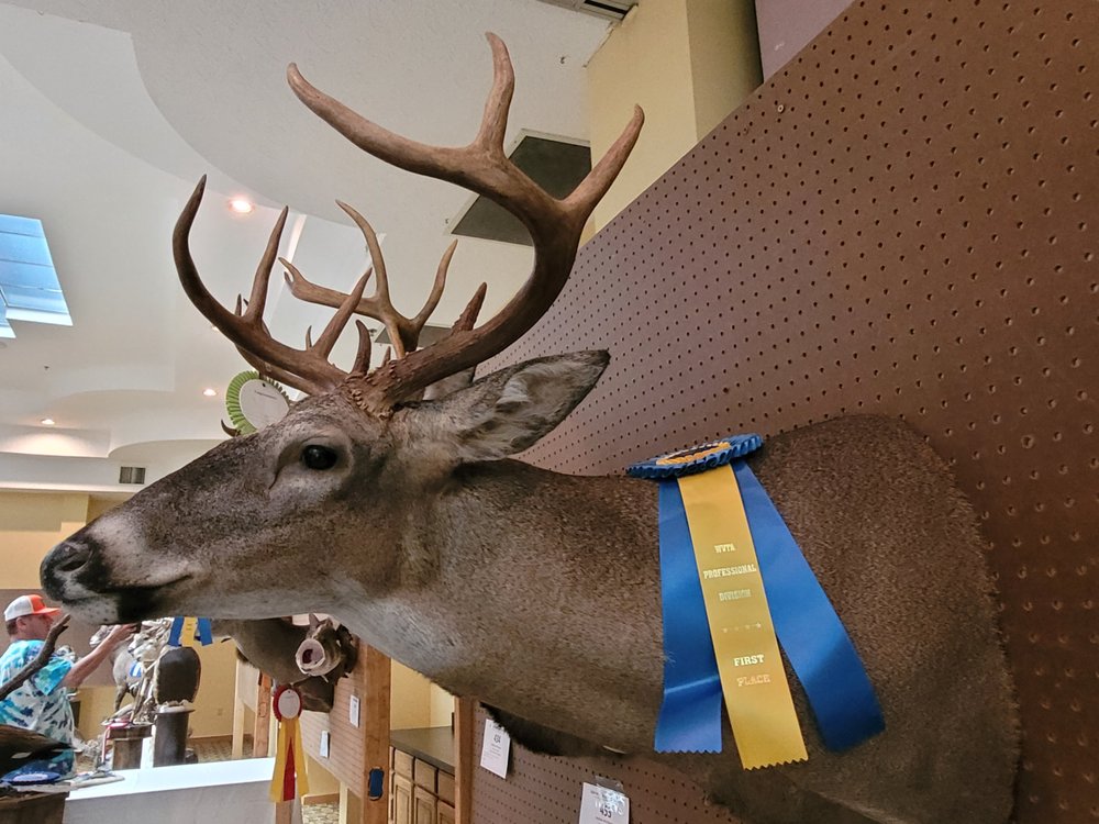 Backyard Taxidermy - taxidermy in Caretta, WV